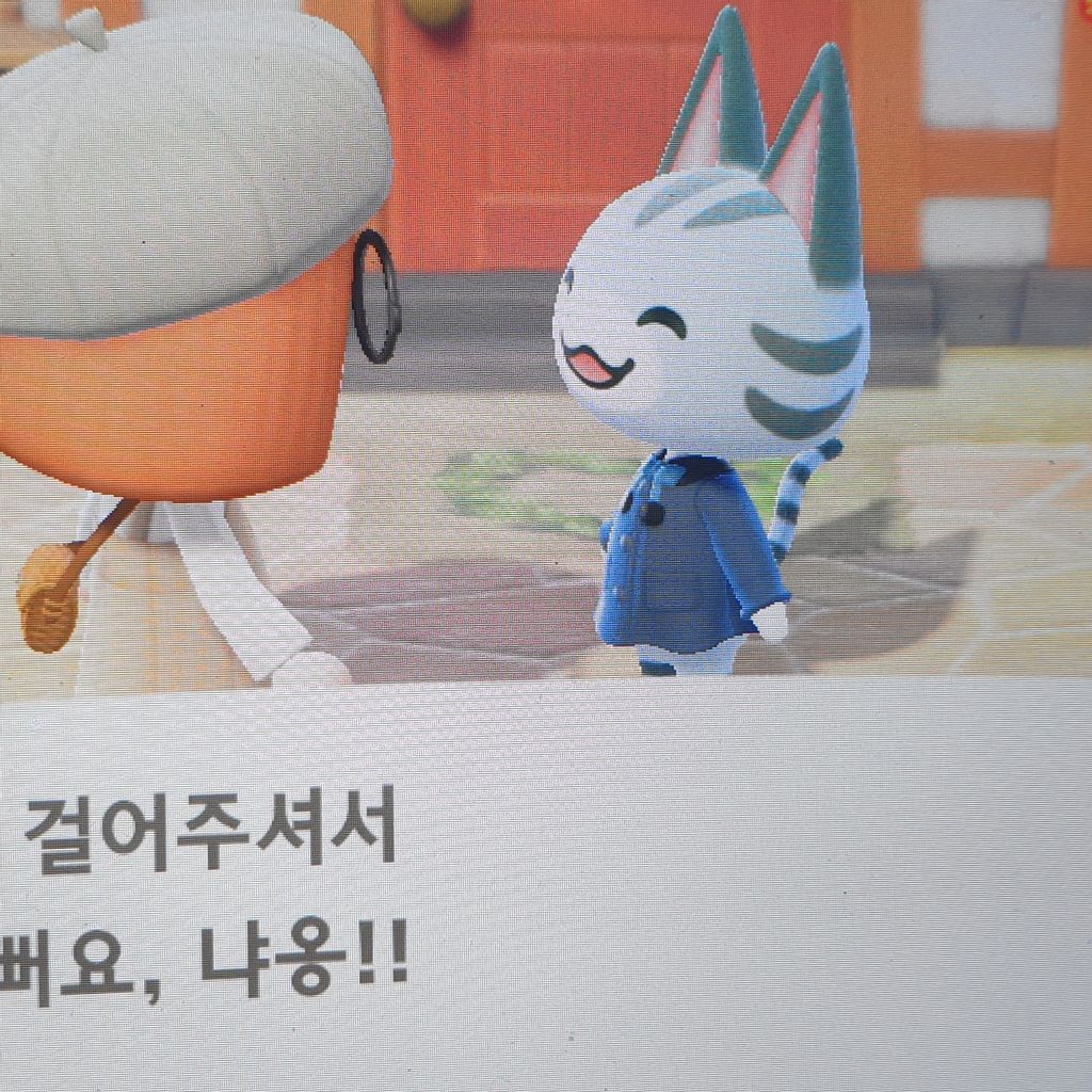 애옹🐈 {냐미냥냥} 님의 게시물 | 모동숲 코디