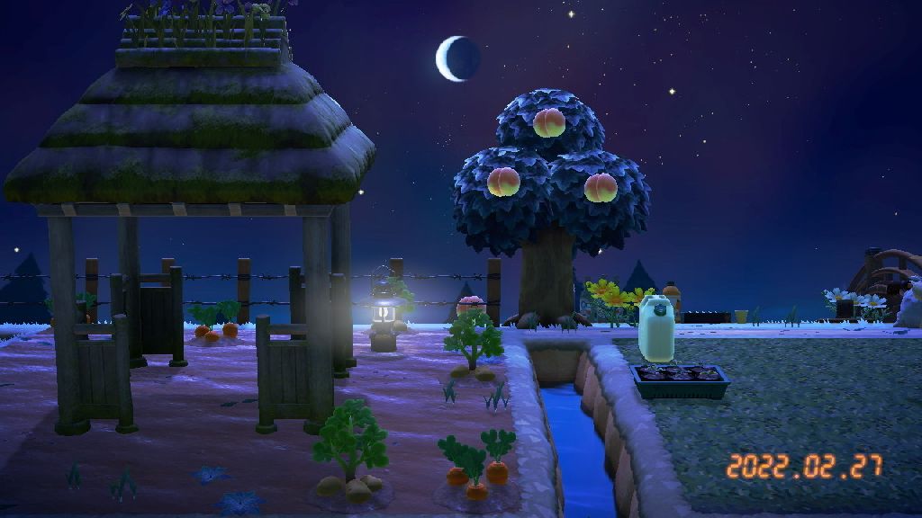 User uploaded post image