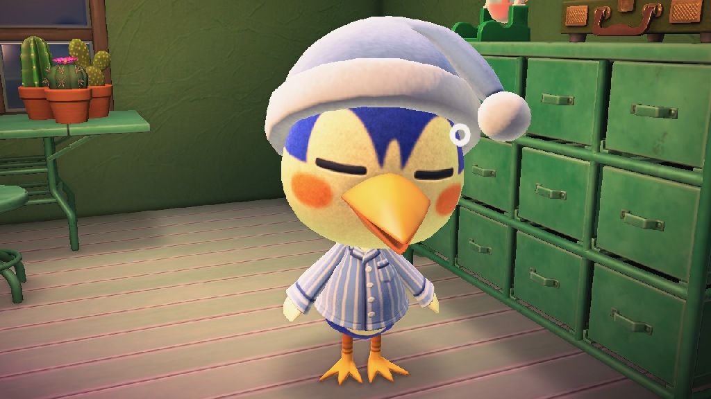 User uploaded post image