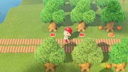 あつまれ どうぶつの森 YouTube