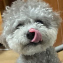 Post owner's profile image