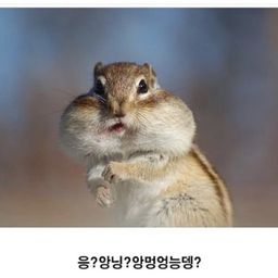 Post owner's profile image