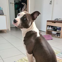 Post owner's profile image