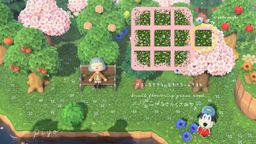 あつまれどうぶつの森 あつまれ どうぶつの森 | Nintendo Switch | 任天堂