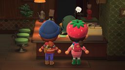 Acorn pochette, Animal Crossing Wiki